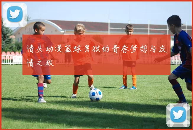 情头动漫篮球男孩的青春梦想与友情之旅