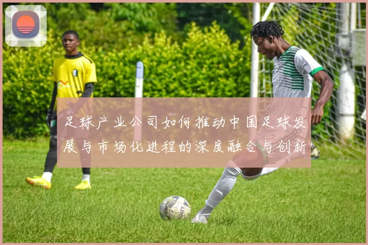 足球产业公司如何推动中国足球发展与市场化进程的深度融合与创新探索