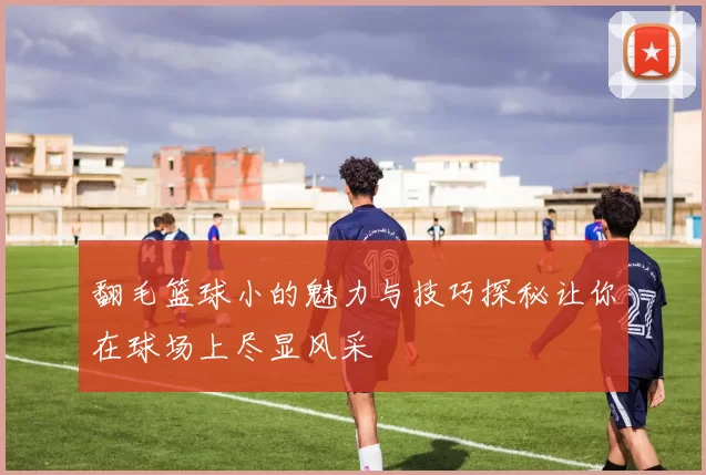 翻毛篮球小的魅力与技巧探秘让你在球场上尽显风采