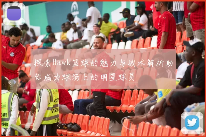 探索Hawk篮球的魅力与战术解析助你成为球场上的明星球员