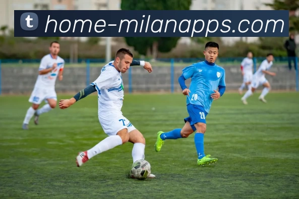 米兰体育平台生态图